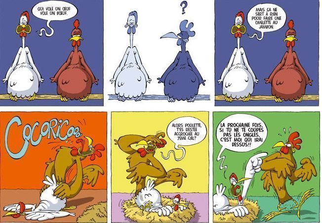 Poule Humour